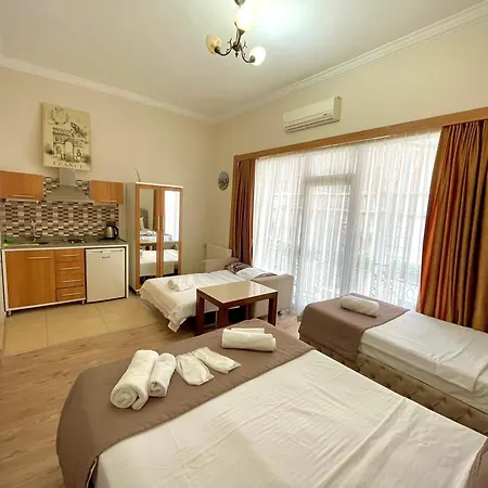 The Old Vine Hotel